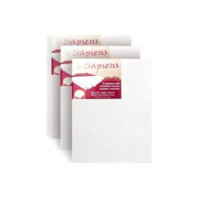 Bastidor De Tela 10 X 18 Cm Pack X 3 Arte