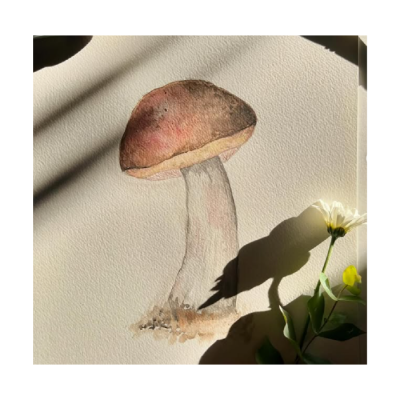 Hoja Montval GT 270 Gr 55 X 75 Cm